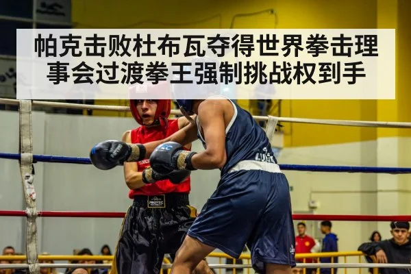 帕克击败杜布瓦夺得世界拳击理事会过渡拳王强制挑战权到手